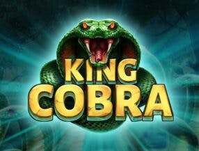 programas para assistir jogos de futebol ao vivo